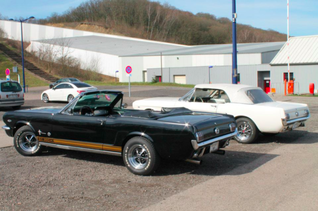 Mustangponydepot.com