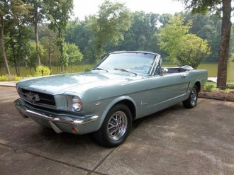 www.mustangponydepot.com