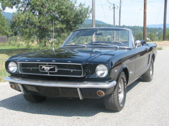 www.mustangponydepot.com