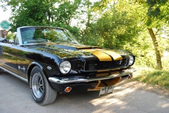 www.mustangponydepot.com