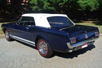 www.mustangponydepot.com