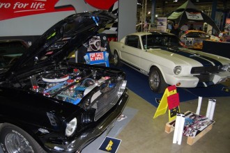 www.mustangponydepot.com