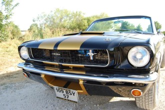 www.mustangponydepot.com