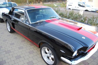 www.mustangponydepot.com