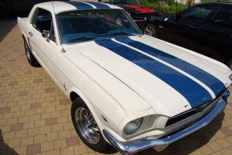 www.mustangponydepot.com