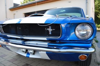 www.mustangponydepot.com