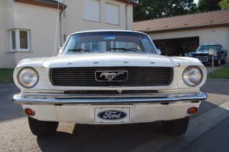 www.mustangponydepot.com