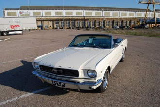 www.mustangponydepot.com