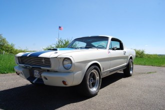 www.mustangponydepot.com