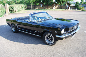 www.mustangponydepot.com