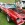 Mustangponydepot.com