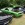 Mustangponydepot.com