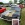 Mustangponydepot.com