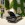 Mariage en Mustang - Mustangponydepot.com - France - Lorraine - Metz - Luxembourg