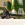 Mariage en Mustang - Mustangponydepot.com - France - Lorraine - Metz - Luxembourg