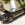 Mariage en Mustang - Mustangponydepot.com - France - Lorraine - Metz - Luxembourg