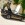 Mariage en Mustang - Mustangponydepot.com - France - Lorraine - Metz - Luxembourg
