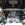 Mariage en Mustang - Mustangponydepot.com - France - Lorraine - Metz - Luxembourg