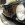 Mariage en Mustang - Mustangponydepot.com - France - Lorraine - Metz - Luxembourg