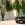 Mariage en Mustang - Mustangponydepot.com - France - Lorraine - Metz - Luxembourg
