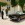 Mariage en Mustang - Mustangponydepot.com - France - Lorraine - Metz - Luxembourg
