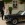 Mariage en Mustang - Mustangponydepot.com - France - Lorraine - Metz - Luxembourg