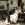 Mariage en Mustang - Mustangponydepot.com - France - Lorraine - Metz - Luxembourg
