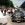 Mariage en Mustang - Mustangponydepot.com - France - Lorraine - Metz - Luxembourg