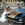Mariage en Mustang - Mustangponydepot.com - France - Lorraine - Metz - Luxembourg