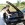 www.mustangponydepot.com