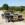 www.mustangponydepot.com