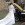 Location pour mariage Ford Mustang 1965 et 1966 - www.mustangponydepot.com