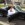 www.mustangponydepot.com