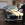www.mustangponydepot.com