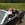 www.mustangponydepot.com