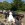www.mustangponydepot.com