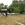 www.mustangponydepot.com
