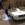 www.mustangponydepot.com