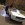 www.mustangponydepot.com