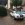 www.mustangponydepot.com