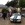 www.mustangponydepot.com