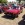 www.mustangponydepot.com