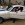 www.mustangponydepot.com