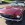 www.mustangponydepot.com