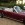 www.mustangponydepot.com