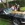 www.mustangponydepot.com