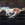 www.mustangponydepot.com