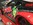 www.mustangponydepot.com au Sema Show