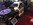 www.mustangponydepot.com au SEMA SHOW 2017