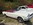 www.mustangponydepot.com